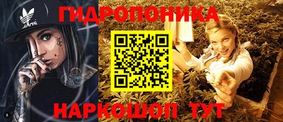 мдпв Обнинск