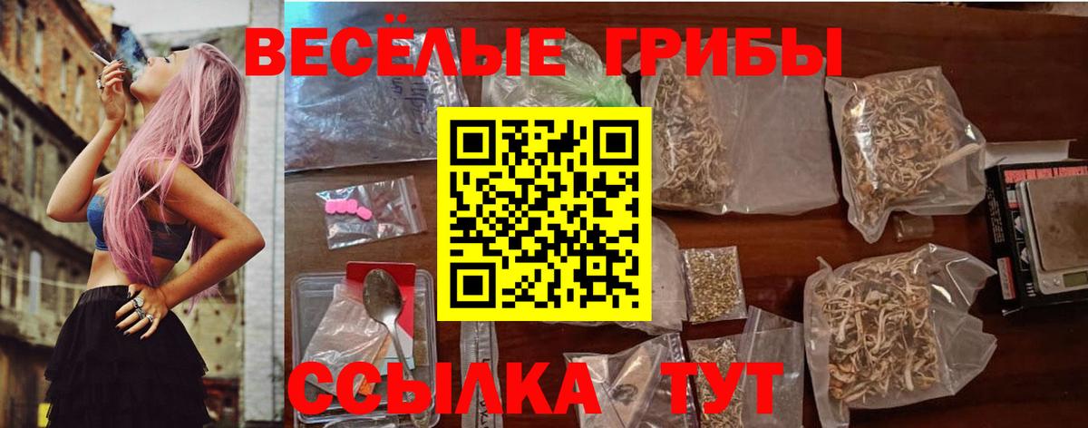 Псилоцибиновые грибы мухоморы Холмск