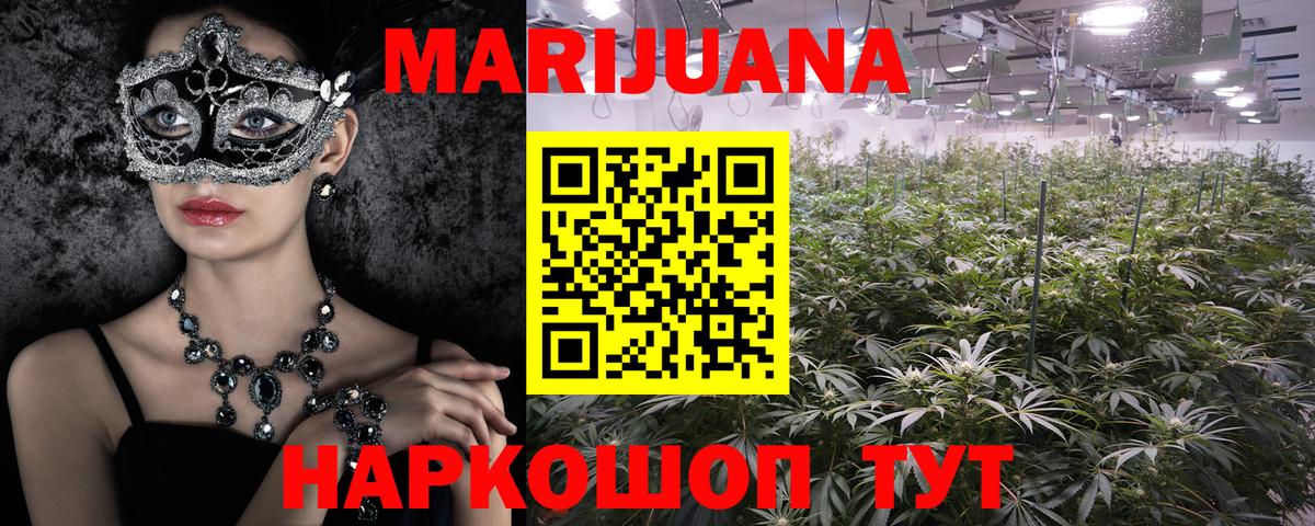 Конопля планчик Холмск